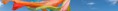 /album/photo-gallery-homepage1/header-01-jpg/