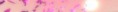 /album/photo-gallery-homepage1/header-02-jpg/