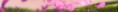 /album/photo-gallery-homepage1/header-03-jpg/